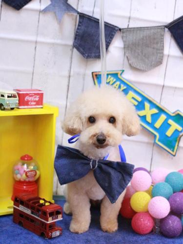 20230419こじろうくん